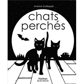 Lecture le capitaine Fracasse niveau A2