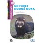 Un furet nommé Moka niveau A1.1