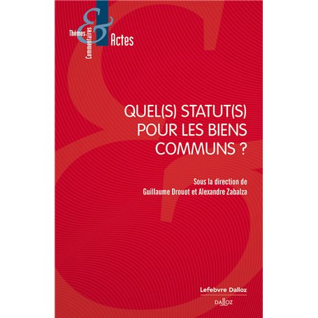 Quel(s) statut(s) pour les biens communs ?