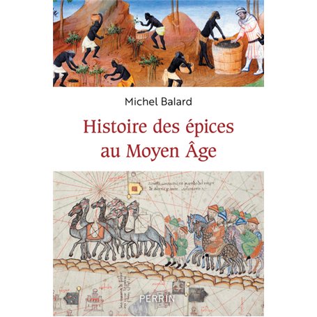 Histoire des épices au Moyen-âge 24,46 €