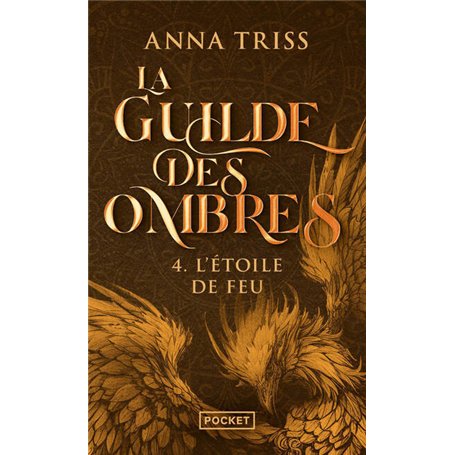 La Guilde des ombres - Tome 4 L'Etoile de Feu
