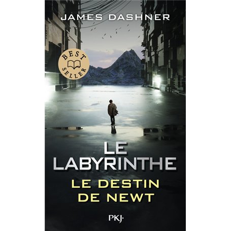 Le Labyrinthe : Le destin de Newt