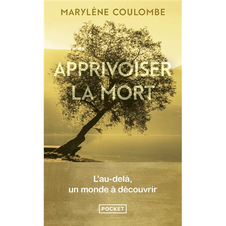 Apprivoiser la mort - L'au-dela