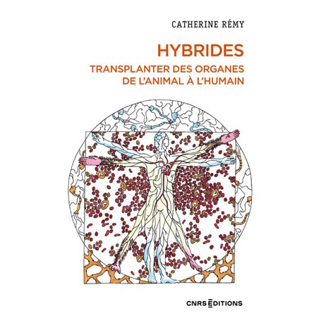 Hybrides - Transplanter des organes de l'animal à l'humain