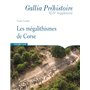 Les mégalithismes de Corse - Gallia Préhistoire XLIVe Supplément