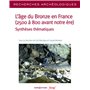 RA 29 - L'âge du Bronze en France (2500 à 800 avant notre ère) - Synthèses thématiques
