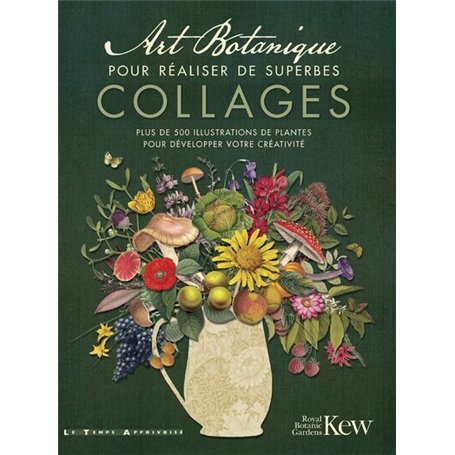 Art Botanique pour réaliser de superbes collages - plus de 500 illustrations des plantes pour développer votre créativité