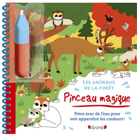 Pinceau magique - Les animaux de la forêt