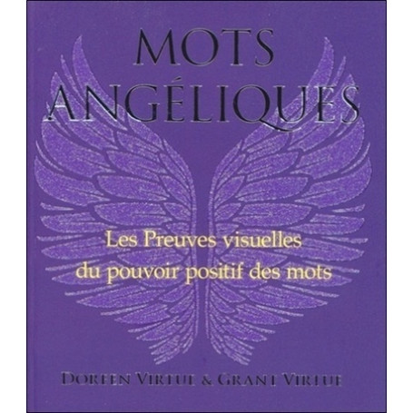 Mots angéliques 13,60 €