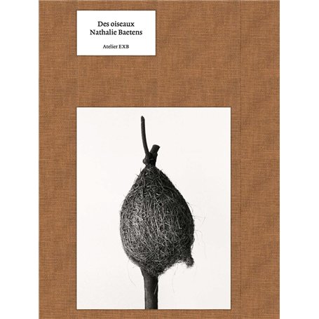 Des oiseaux - Nathalie Baetens (version anglaise)