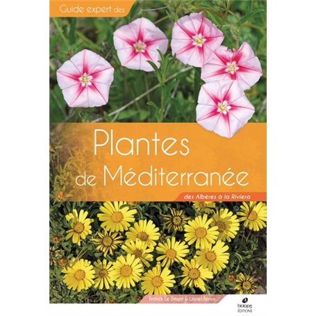 Plantes de Méditerranée 47,95 €