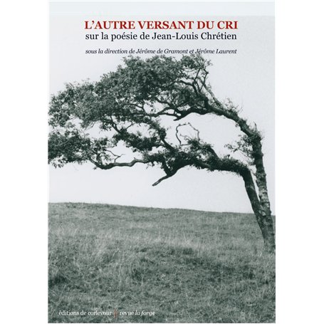 L'autre versant du cri