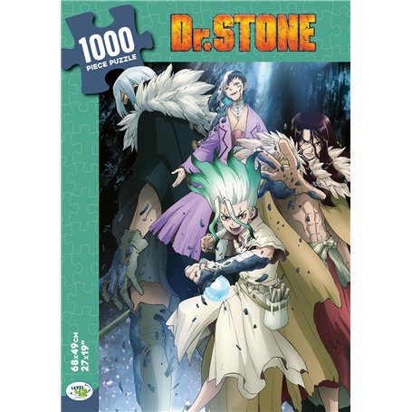 Dr. Stone puzzle 1000 pièces