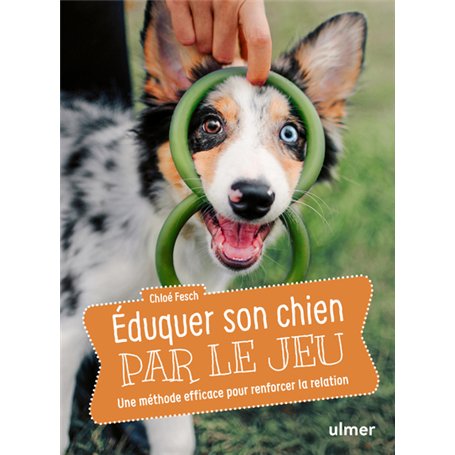 Éduquer son chien par le jeu - Une méthode efficace pour renforcer la relation