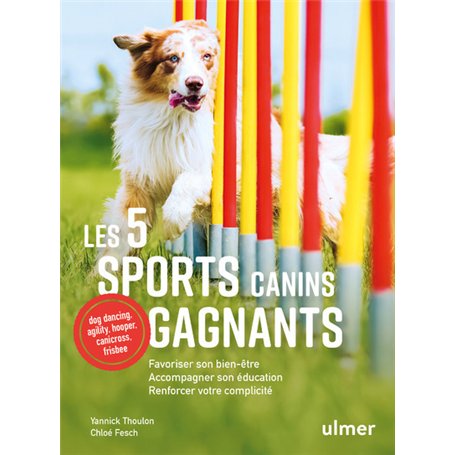 Les 5 sports canins gagnants