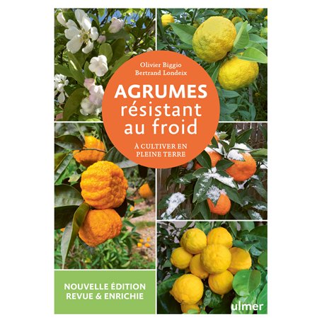 Agrumes résistant au froid