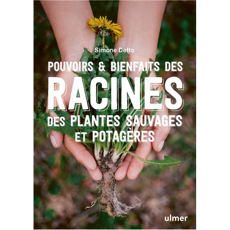 Pouvoirs & bienfaits des racines des plantes sauvages et potagères