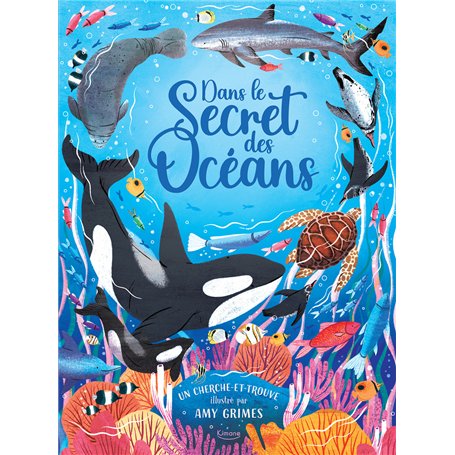 Dans le secret des océans