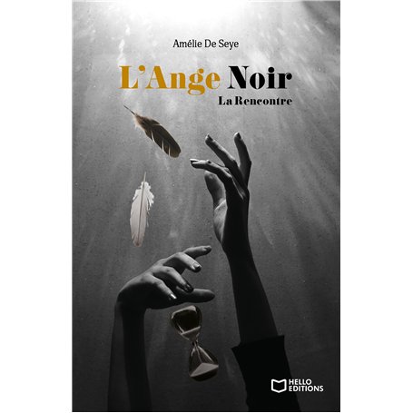 L'Ange Noir - Tome I La Rencontre