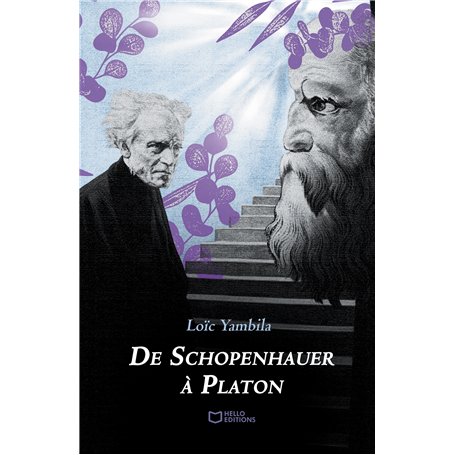 De Schopenhauer à Platon