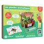 Les plantes aromatiques - Kit Pandacraft 8-12 ans
