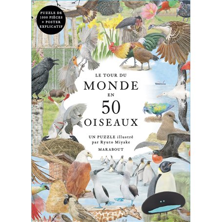 Puzzle Le tour du monde en 50 oiseaux