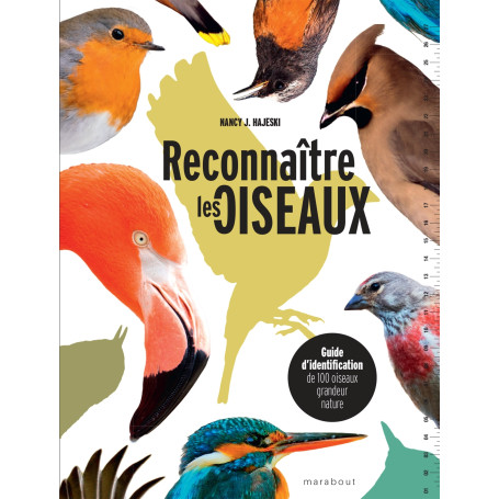 Reconnaître les oiseaux
