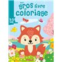 Mon gros livre de coloriage (Renard printemps)