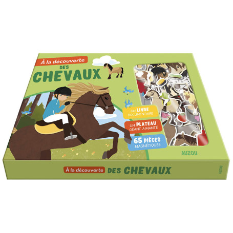 À la découverte des chevaux