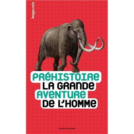 Préhistoire, la grande aventure de l'homme 14,58 €