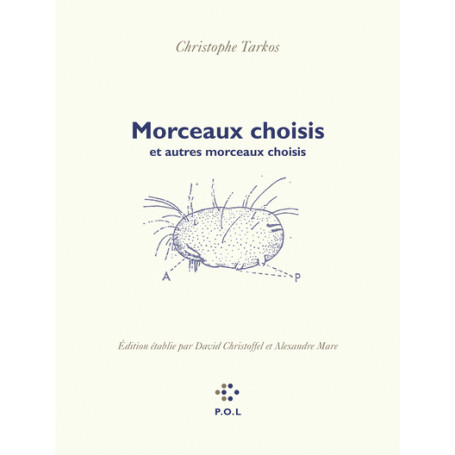 Morceaux choisis et autres morceaux choisis 31,31 €