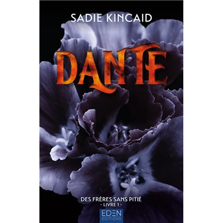 Les frères sans pitié T1