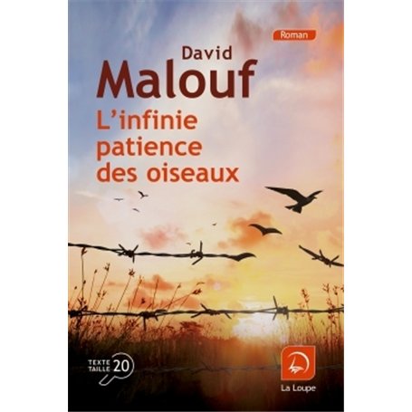L'infinie patience des oiseaux