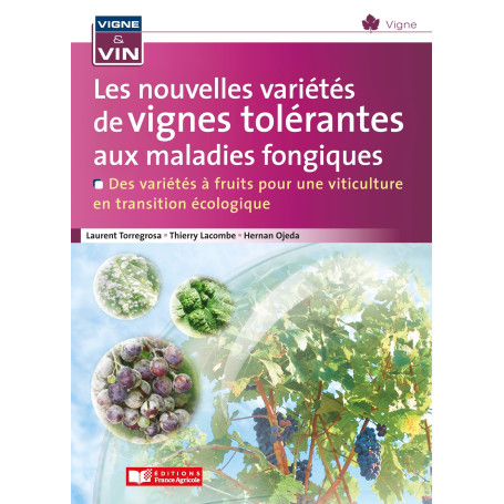 Les nouvelles variétés de vignes tolérantes aux maladies fongiques