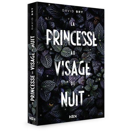 La Princesse au visage de nuit