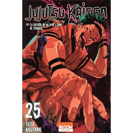 Jujutsu Kaisen T25