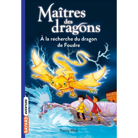 Maîtres des dragons, Tome 07 6,36 €