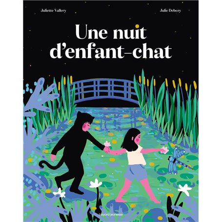 Une nuit d'enfant chat