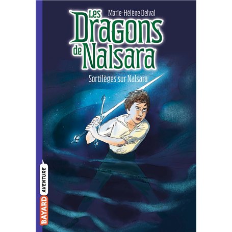 Les dragons de Nalsara, Tome 08 6,36 €