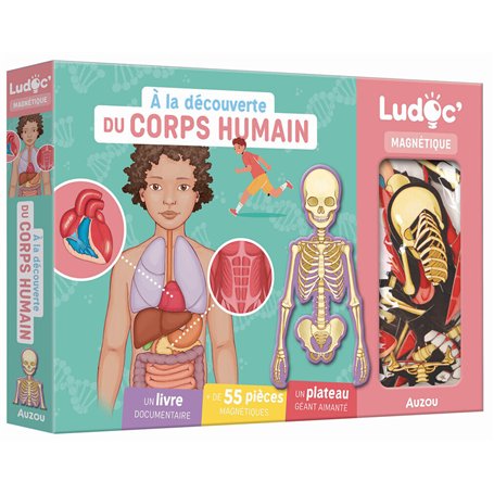 A LA DECOUVERTE DU CORPS HUMAIN