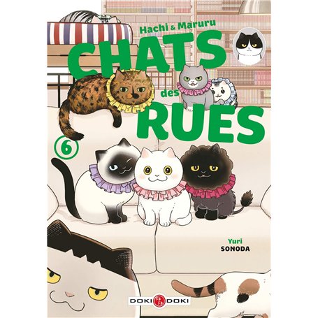 Hachi & Maruru - Chats des rues - vol. 06