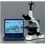 AmScope MU500-CK Microscope USB 5 MP + logiciel + kit d'étalonnage
