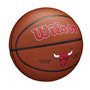 Wilson NBA Team Alliance BSKT
