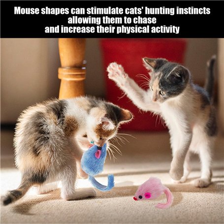 Bach : Variations Goldberg