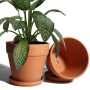 vensovo Lot de 2 grands pots en argile avec soucoupe - 20