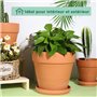 3 cm - En terre cuite avec trou de drainage - Pour plantes d'intérieur