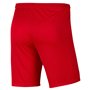 Pantalon de sport long Nike DRI FIT PARK III BV6855 657 Rouge Homme