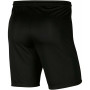 Short de Sport pour Enfants Nike NIKE DRI FIT PARK 3 BV6865 010 Noir