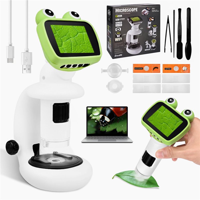 Evangelion Finally | LP