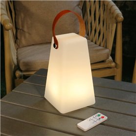 Bear Cuiseur à riz 3,5 tasses (non cuit) avec cuiseur vapeur, Multifonctionnel 350W Electric Mini Rice Cooker，6 fonctions de cui